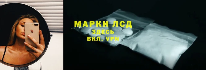 ПСИЛОЦИБИНОВЫЕ ГРИБЫ Балабаново