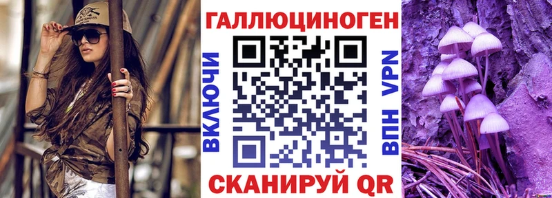 где найти   Оса  Псилоцибиновые грибы мухоморы 